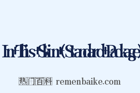 In+This+Skin+(Standard+Package)是什么意思的图片